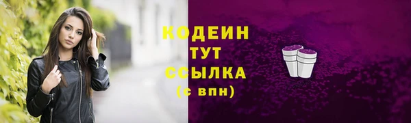 ПСИЛОЦИБИНОВЫЕ ГРИБЫ Вязники