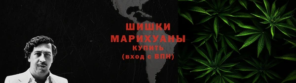 ПСИЛОЦИБИНОВЫЕ ГРИБЫ Вязники