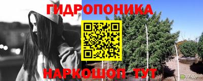 ешки Изобильный