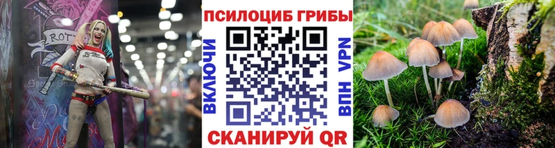 Галлюциногенные грибы прущие грибы  Обнинск 