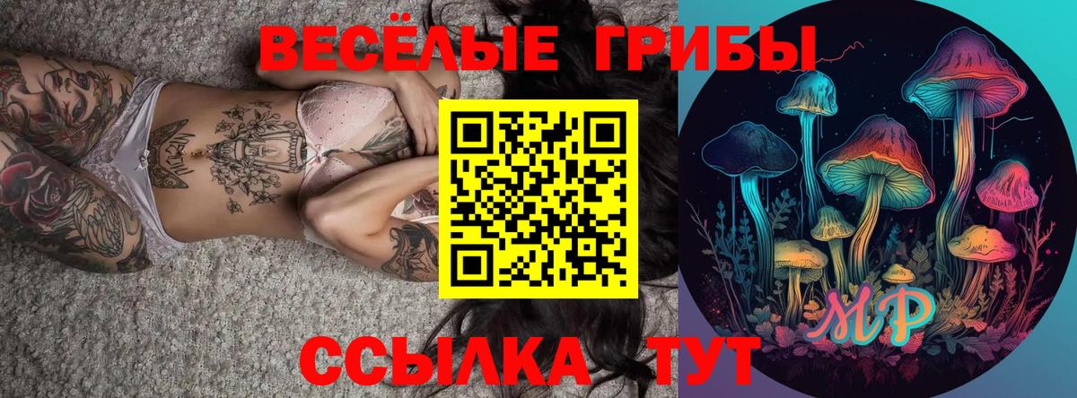 Псилоцибиновые грибы Psilocybe Обнинск