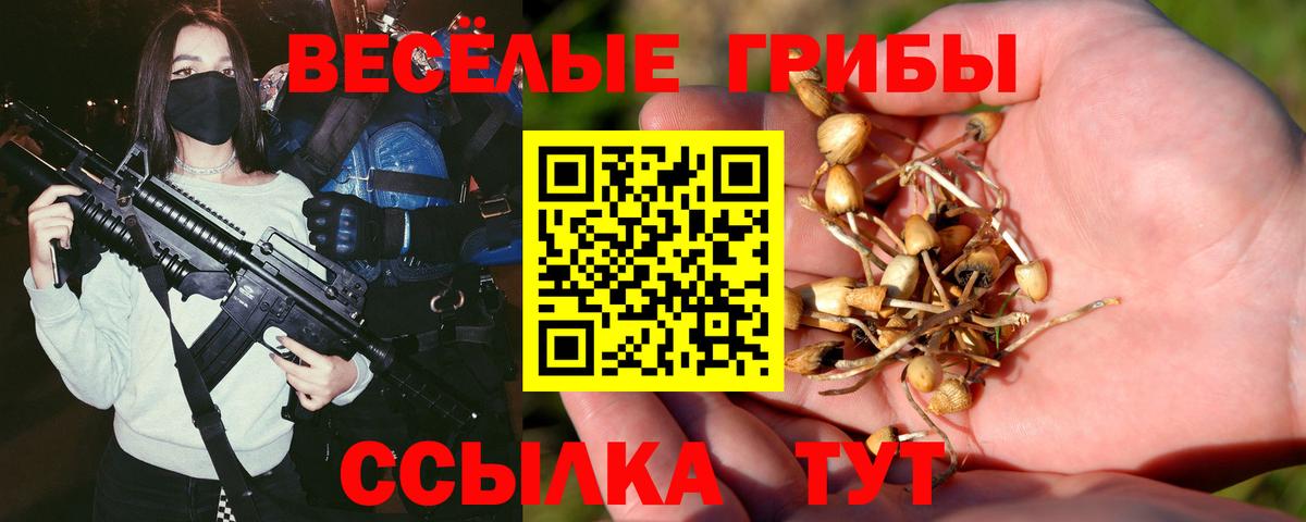 Псилоцибиновые грибы MAGIC MUSHROOMS  Вход с VPN  Обнинск 