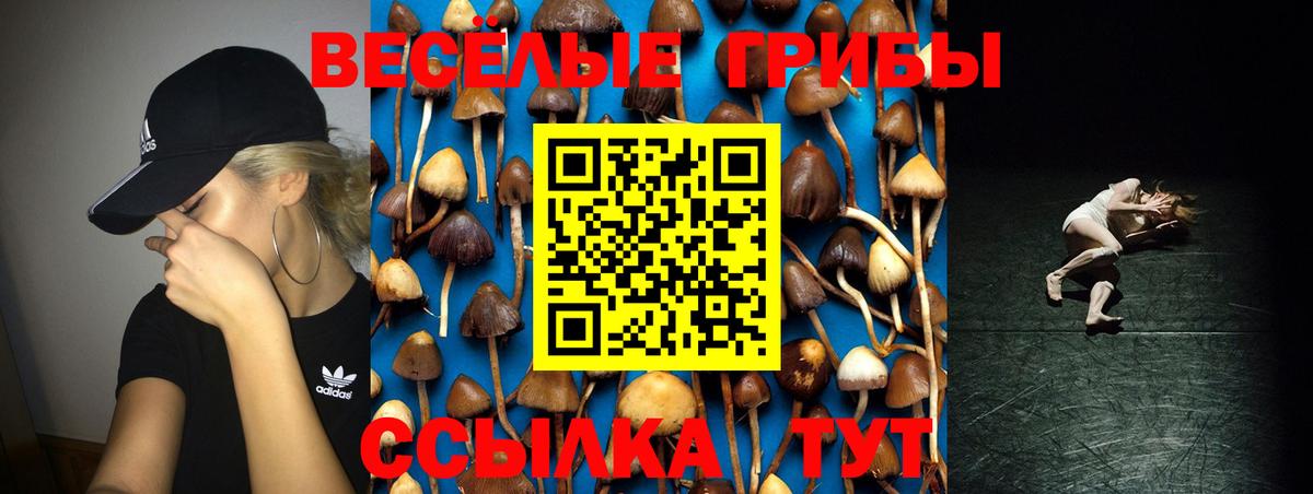 что такое наркотик  Обнинск  Галлюциногенные грибы Psilocybe 